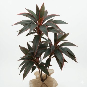 Planta  Permanente  Árvore  Dracena  Outonada 90 cm