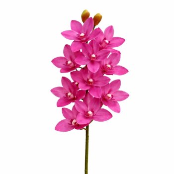 Haste De Orquidea Cymbidium Diversas Cores