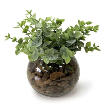 ARRANJO EUCALIPTO VASO DE VIDRO