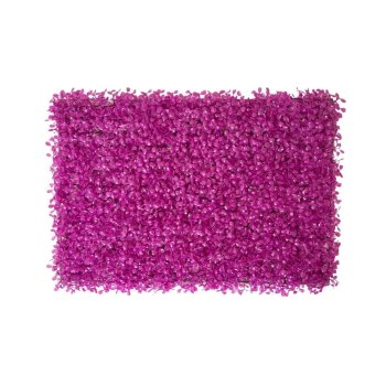 Placa De Grama Pink 60x40