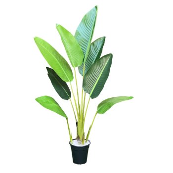 Planta de Heliconia 1,20cm  com 8 Hastes