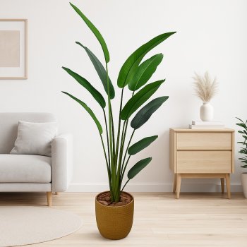 Planta de Heliconia  2,35cm  com 13Hastes