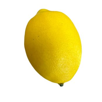 Fruta Limão Siciliano de Plastico 11cm