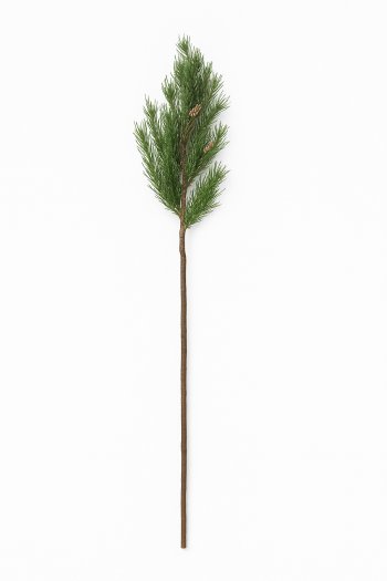 Galho De Folhagem Pinus 72cm